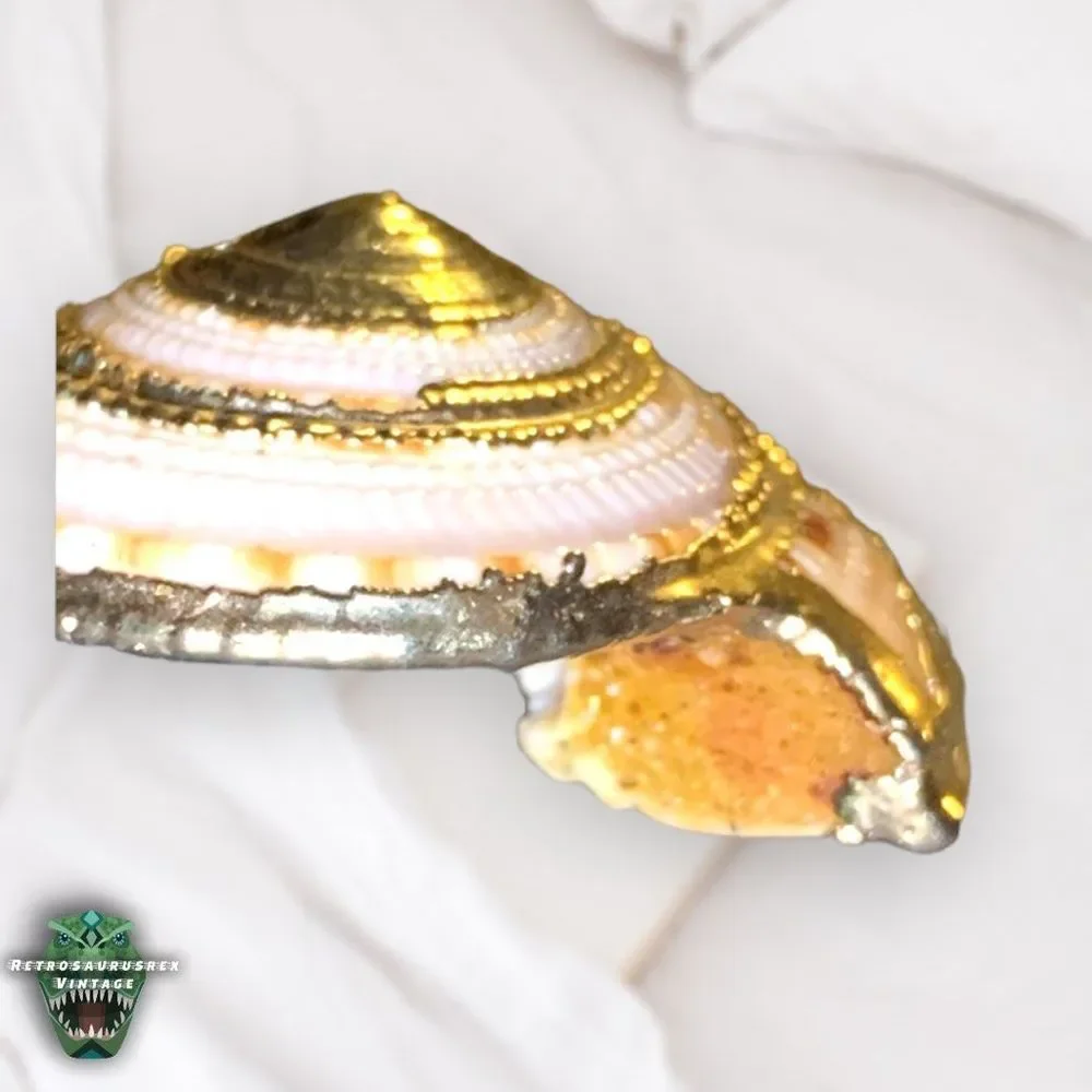 VINTAGE Power Nautilus Seashell & Gold Tone Metal Chain Pendant Mermaid Necklace - Picture 5 of 10